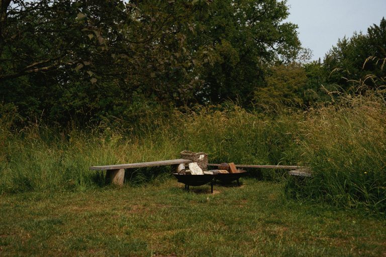 ff957357 a213 4baf b485 3a2b3e40de1e 768x512