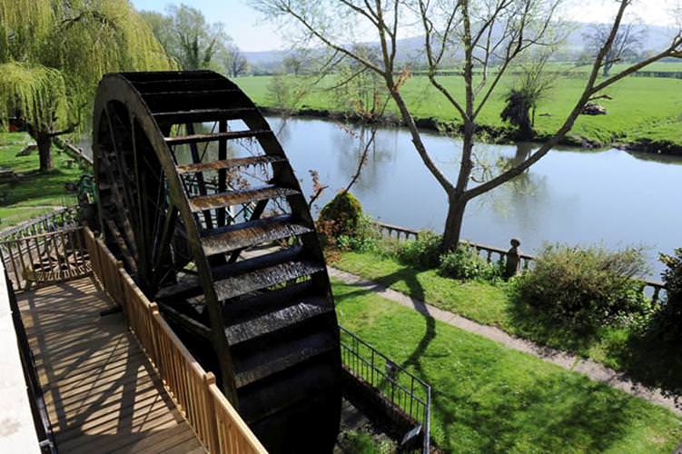 fh6ub8zpm2dunoodr1ut