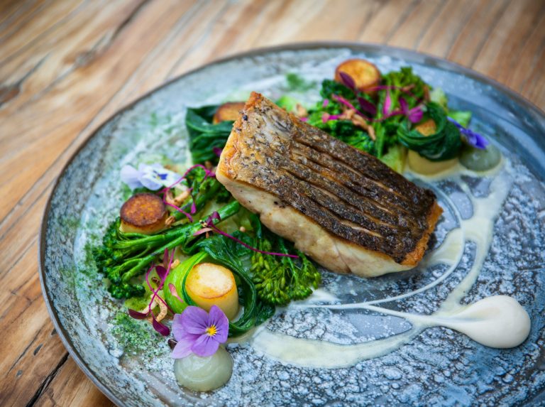 fish of the day 2 17112022030359 768x573