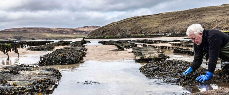 fish shop ballater menu 30062023104335 768x320