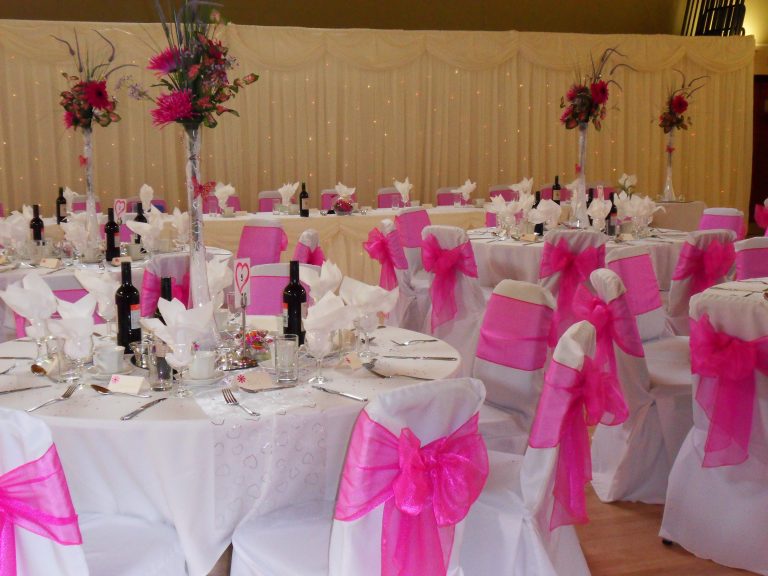 fuchsia 20pink ouidoc 768x576