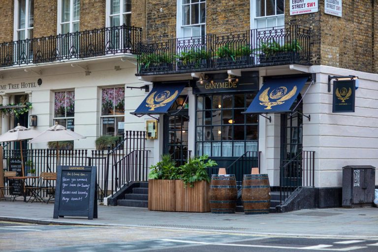 ganymede novo design 064 9121 08112024045034 768x512