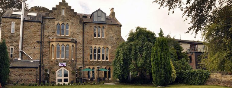 garden day view mrjpek 1 768x294