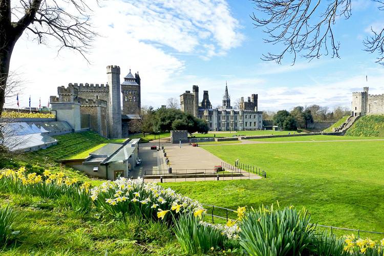 gipwibo0x5dt0uham5i0 1