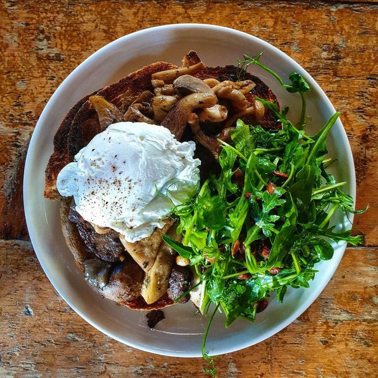 good companions 12022024103733 1 768x768