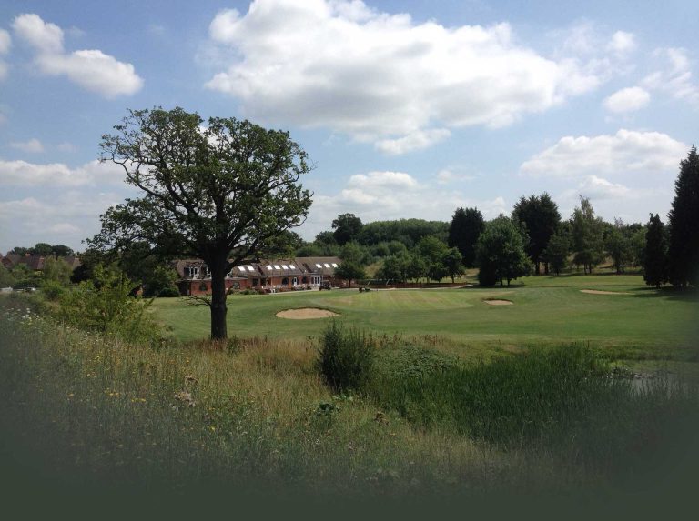 gvleuuojrjh95ytabztl 768x573