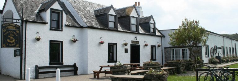 h6jnvbivk3o6ngd0jtl7 768x263