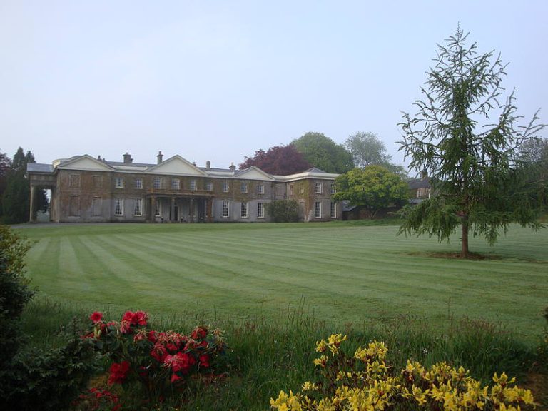 h8vdoh57rwuwcrbuoyxm 768x576