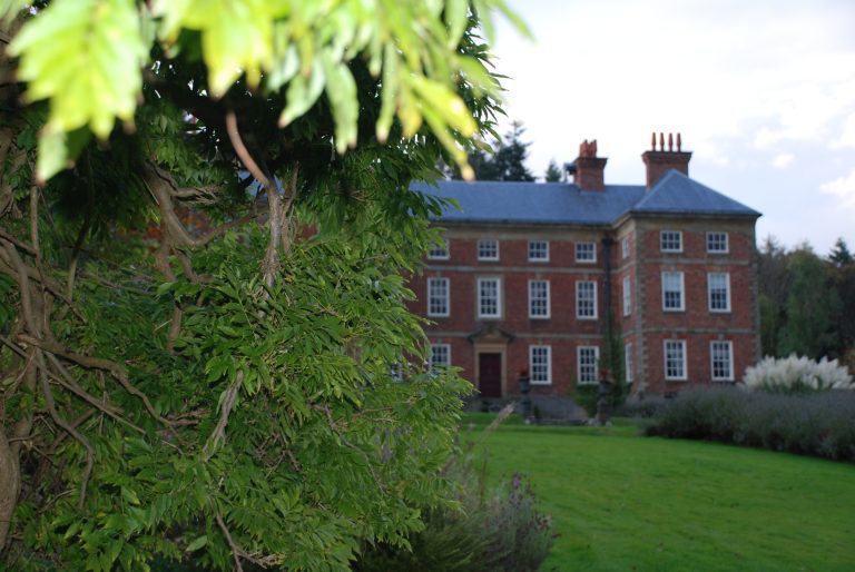 hallthroughfoliage 1 768x514