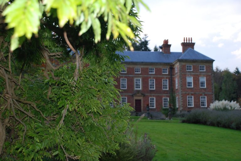 hallthroughfoliage scaled 768x514