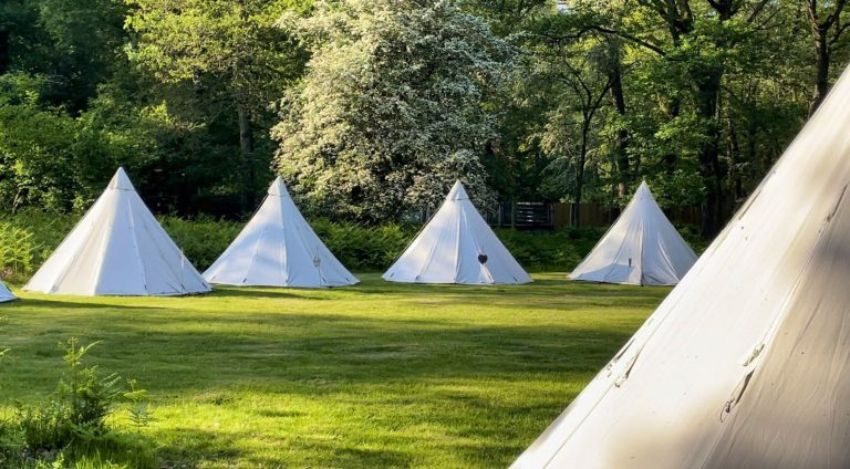 harewood forest maraquee 11042024011629 1 768x424