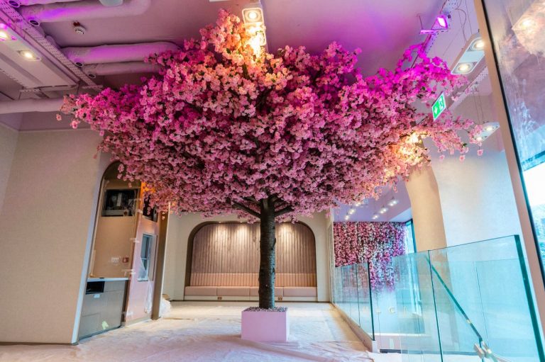 haute dolci review 02082021030147 768x511