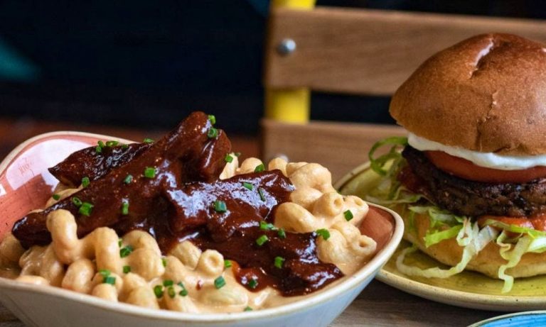 herbivorous vegan food 01112022035809 768x461