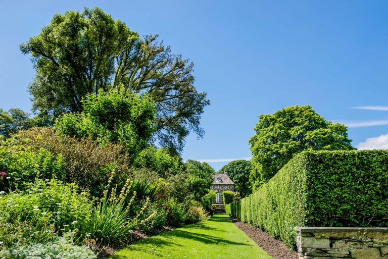 hgvk4qud2mkh6g9s93ix 768x513