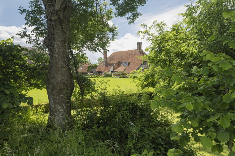 house through trees nzdfs5 768x512