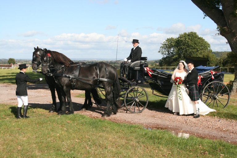 hpvf9g17ljcg2em83huy 768x512