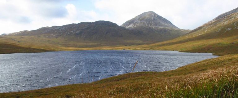 hz5rz8rd7zo0xqwor7mg 768x316