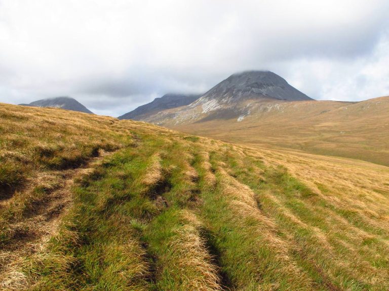 ihcirqd9qboeizrfnn1a 768x576