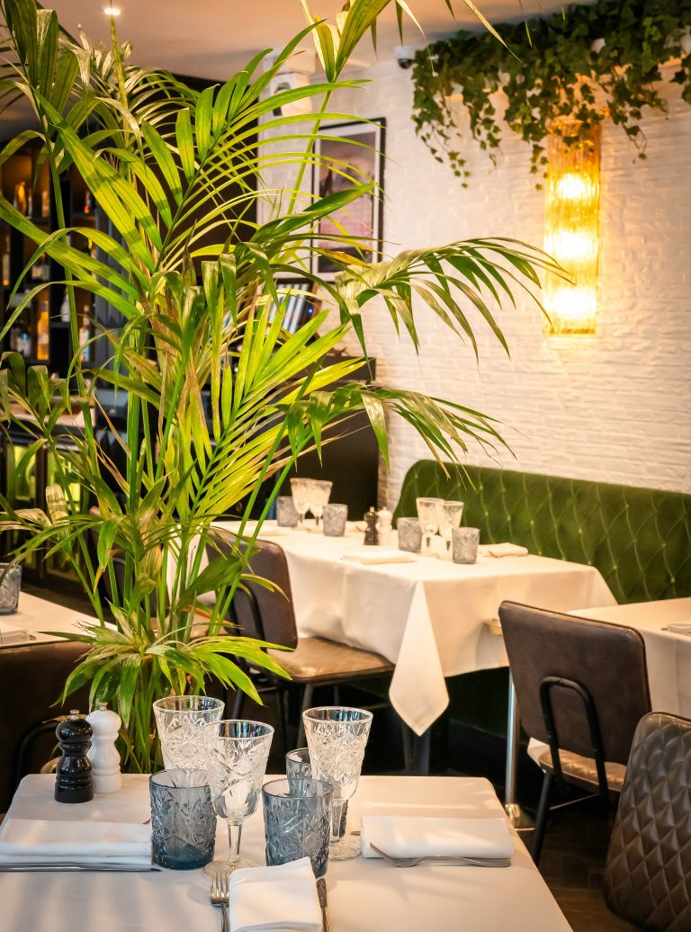 image00008 29082024041247 768x1036