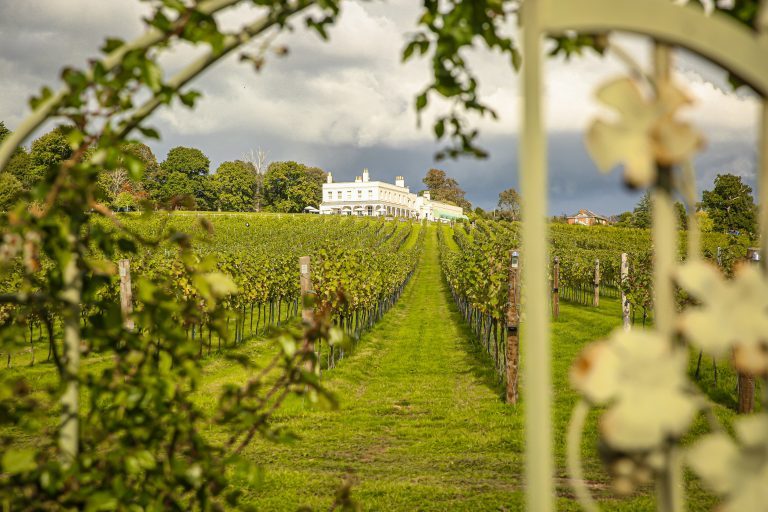 img 1577 21022024013310 768x512