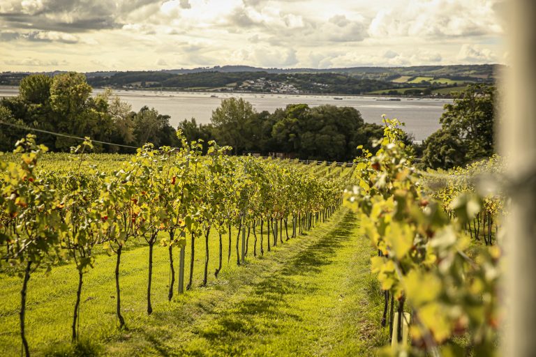 img 1627 21022024013322 768x512