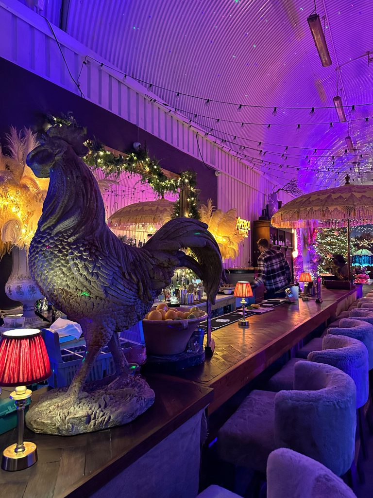 img 2544 10122024094243 768x1024