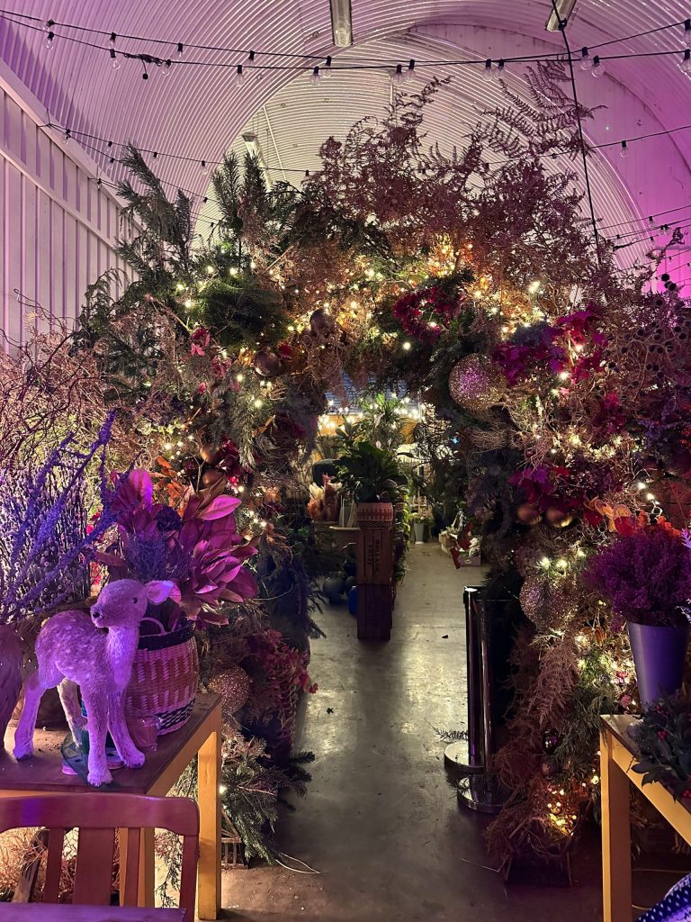 img 2548 10122024094242 scaled 768x1024