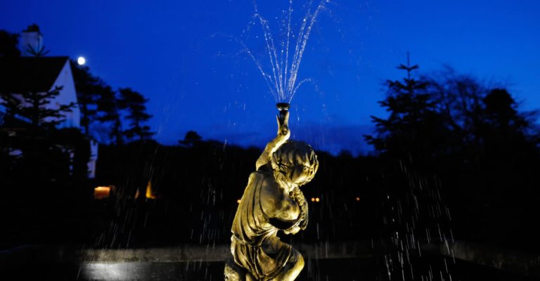 iphkw7o8tujua7sinezs 768x400