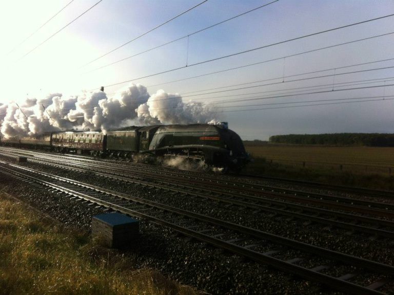 ivldvpvqxfqxna9gk90i 768x574