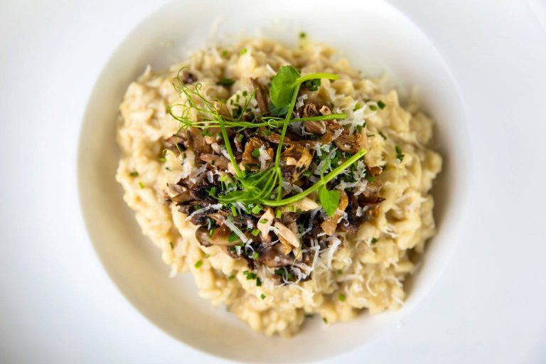 jgh nortonhouse0219 091 04012024080013 768x512