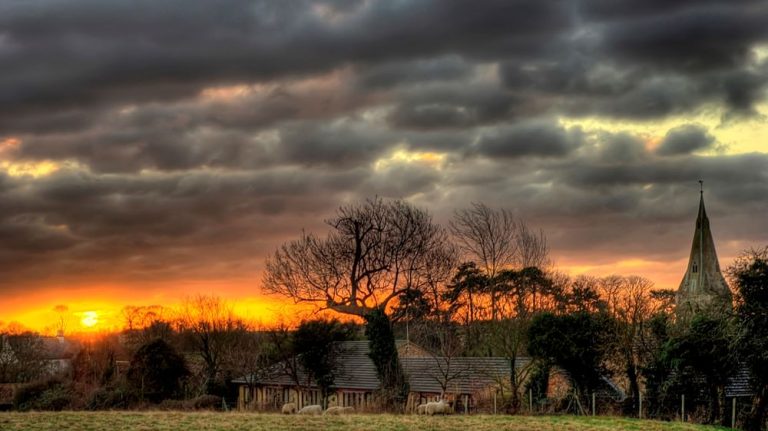 jji1w7siiulo2zz8iwkp 768x431