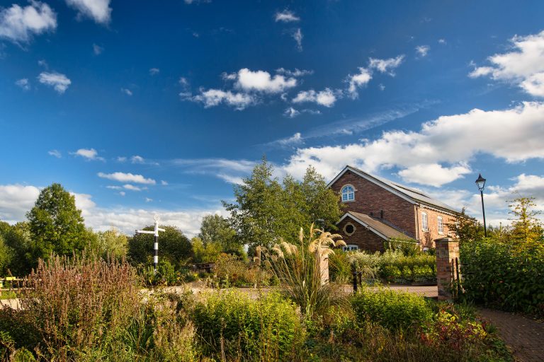 jkbrsu0pk1oxbejqxpxw 768x512