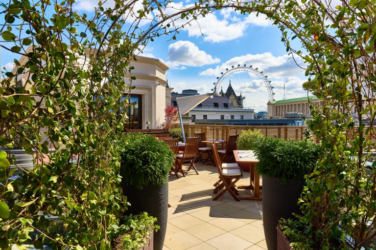 kioku terrace 05072024081909 768x512