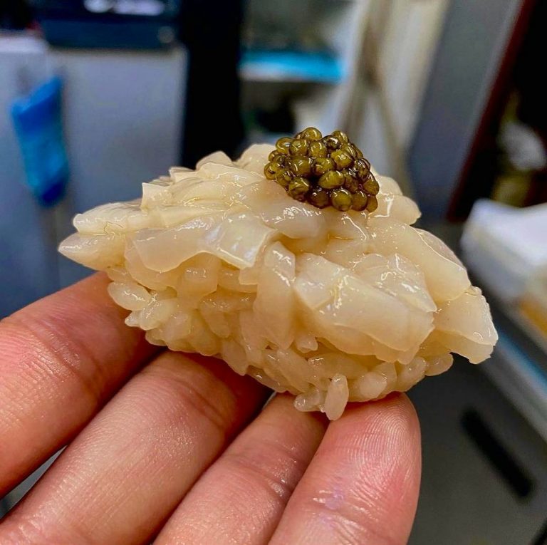 kurisu omakase 09012023110428 768x765