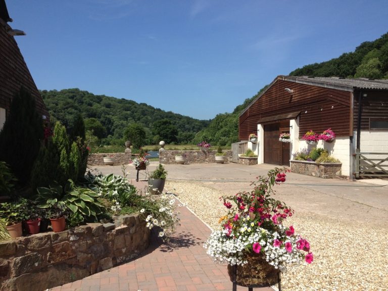 kwuq5zysp4igers47x9e 768x576