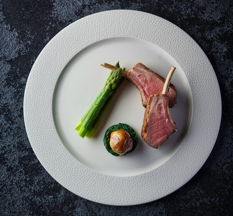 lamb 17082023090323 768x714