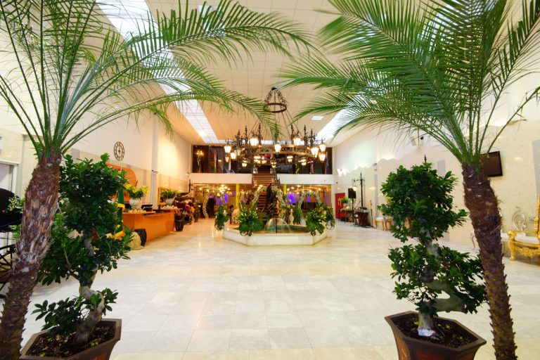 ln52bncj8t2fzx4aicpc 768x512