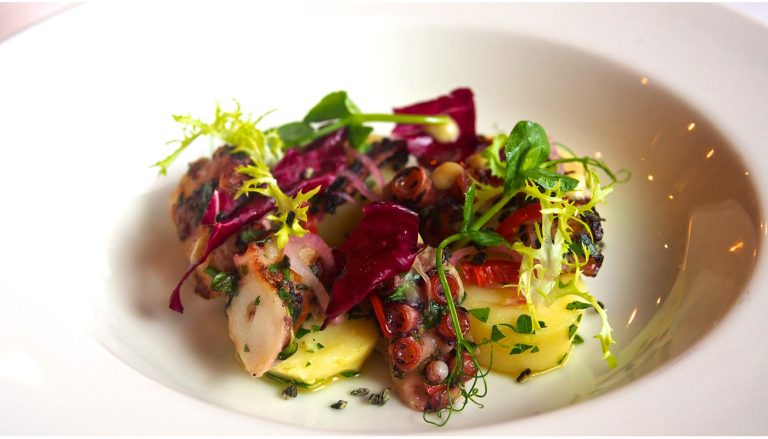 manicomio city 2018 octopusweb 768x439