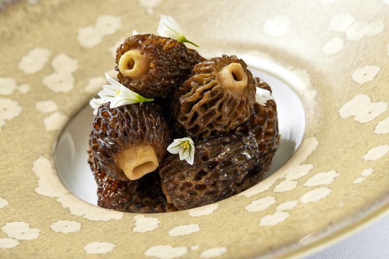 morels with three cornered leek and vin jaune 9  27062024020644 768x512