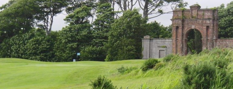 n9rwcs9wjq1dbxbpgyyj 768x295