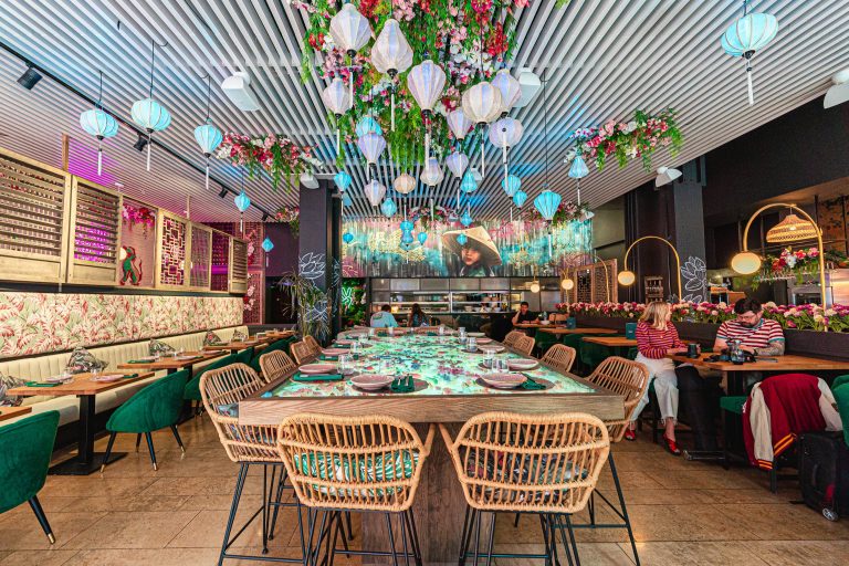 nami 4 of 174  22112022030520 768x512