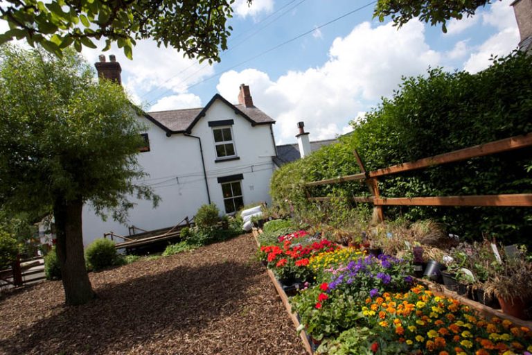 nnx7gh0ypbhxam5bvu43 768x512