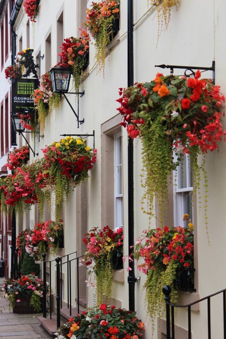 okwq9ju86nzntuj62u2h 768x1152