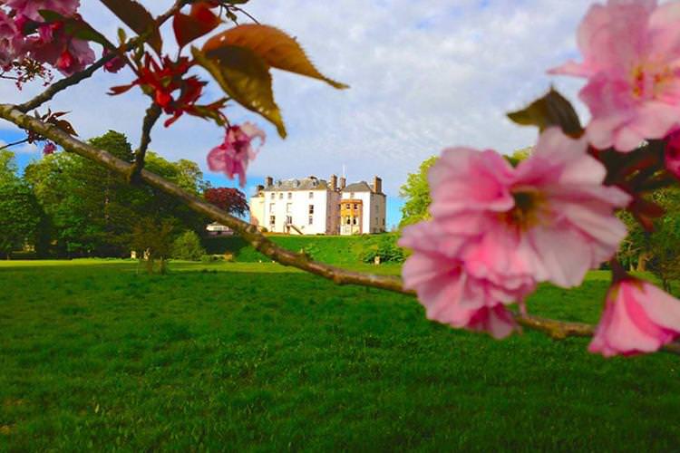 p4nevleyczyvarh2hoz0