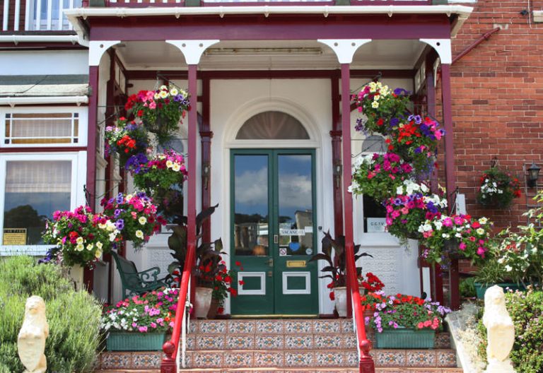 pav3j4xqsdogit9zv9up 768x528