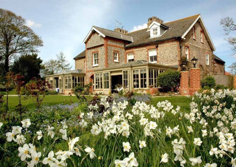 pmvkzrimzex27p8kdfeb 768x544