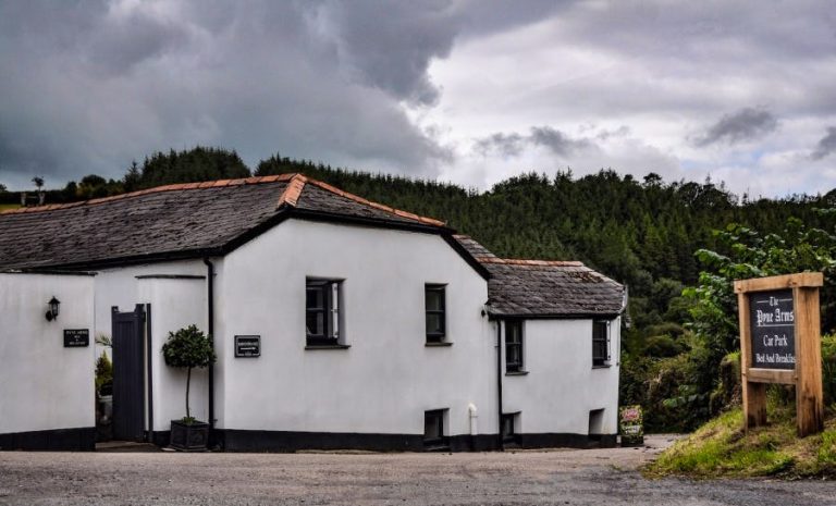 pynearms 21022022024106 768x465