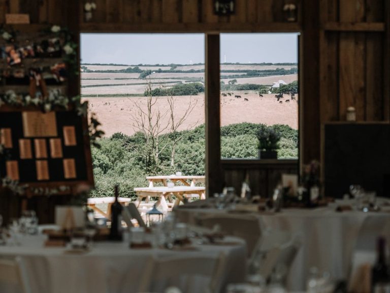 received 10155436782686533 768x576