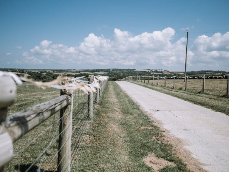 received 10155436784211533 768x576