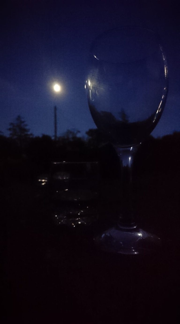 received 10156053162279760 768x1376